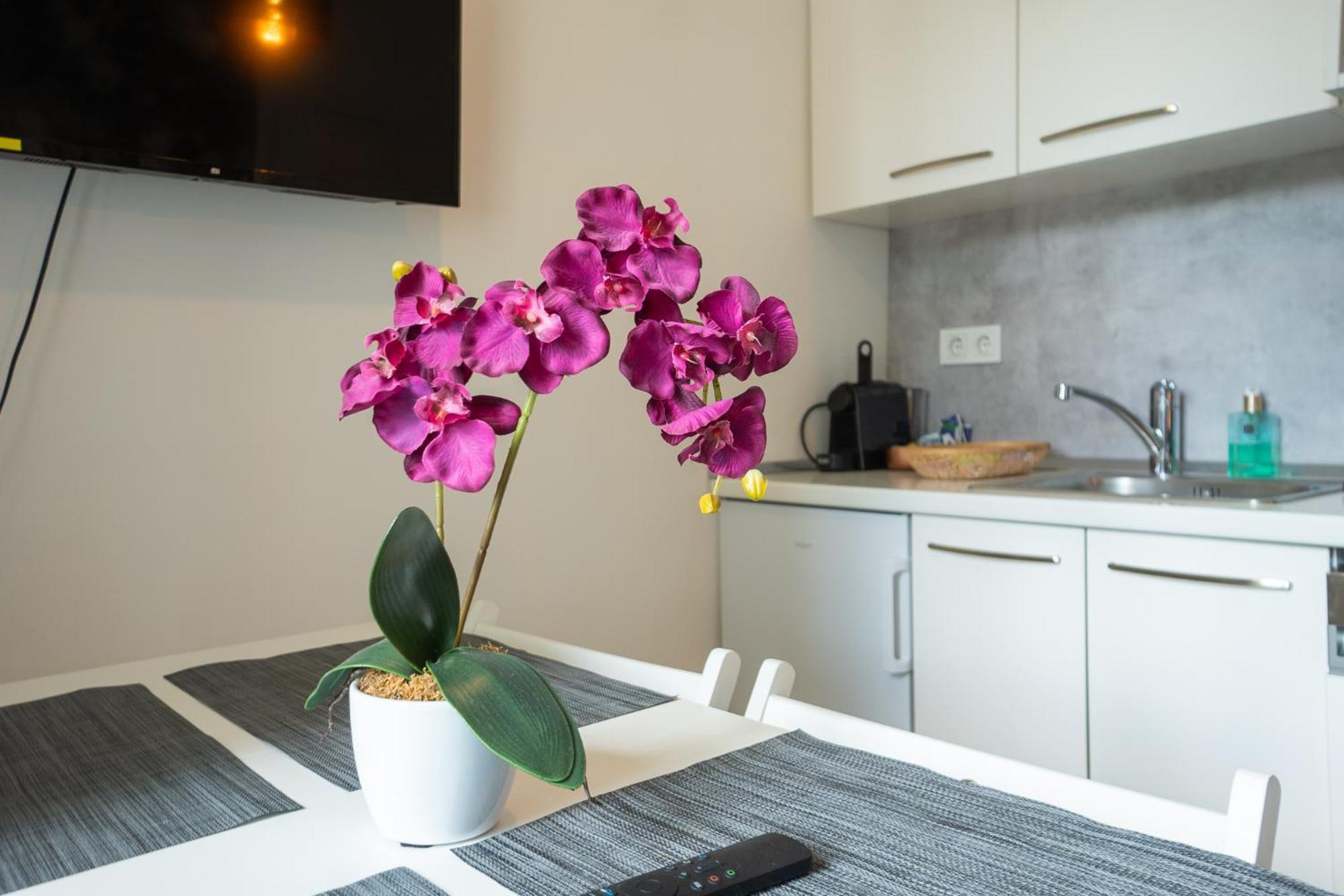 Appartement Dainn Schoenbrunn *
