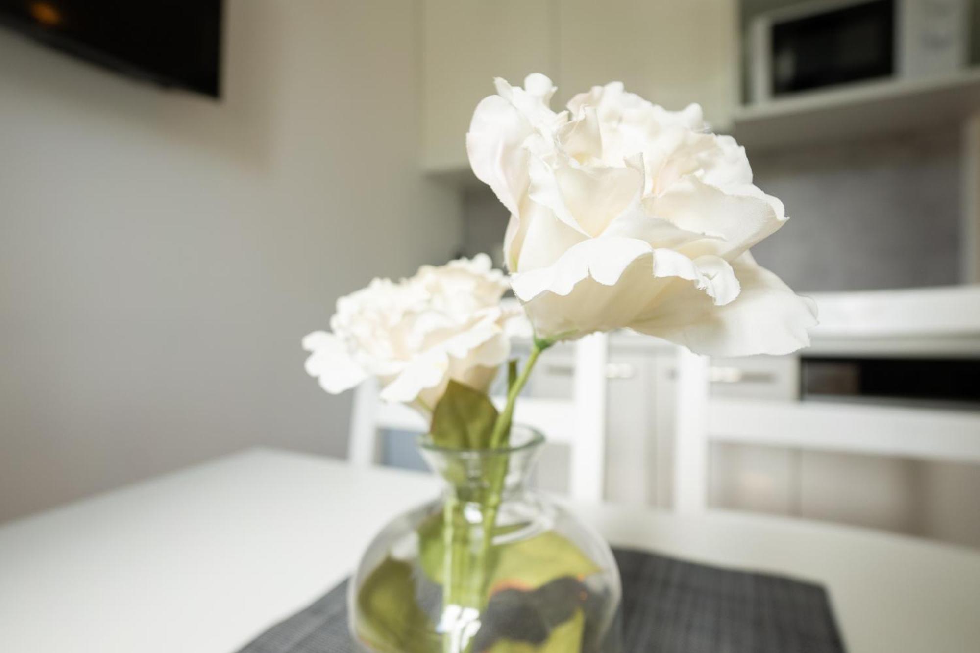 Dainn Schoenbrunn Appartement